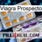 Prospecto Viagra new12